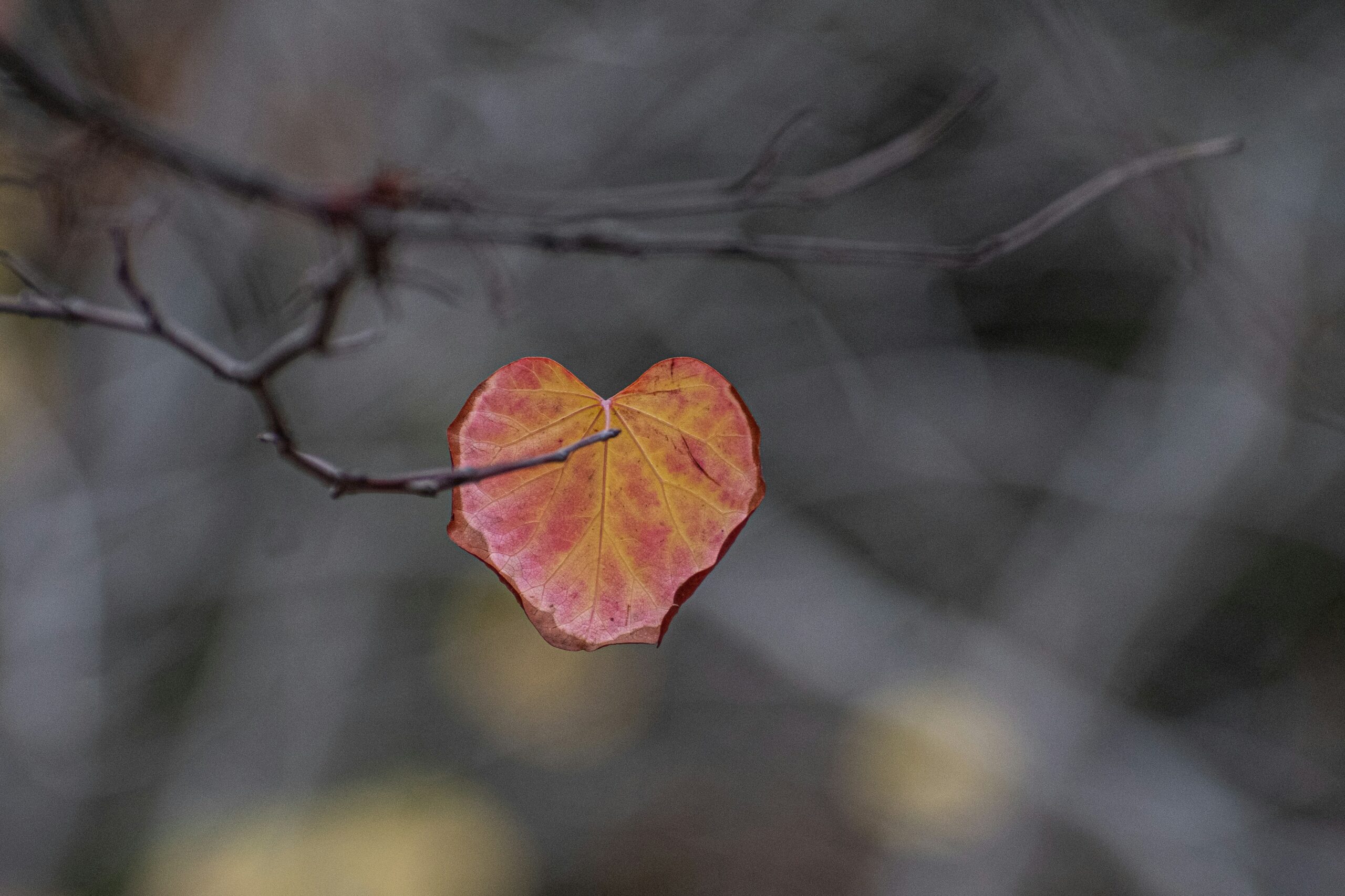 Scopri di più sull'articolo Delusione d’amore: come il gruppo aiuta a trasformare il dolore
